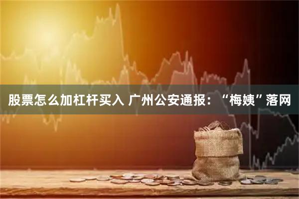 股票怎么加杠杆买入 广州公安通报：“梅姨”落网