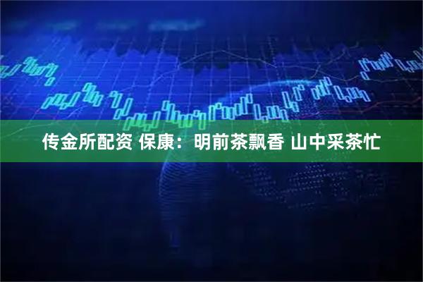 传金所配资 保康：明前茶飘香 山中采茶忙